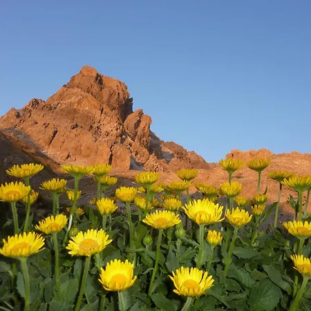 Dans Quarto em Acomodações Particulares *