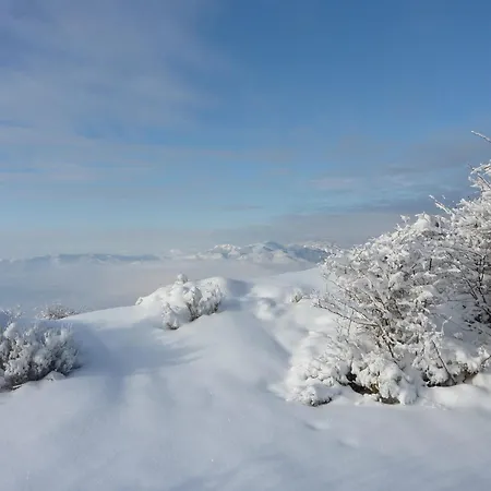 Dans Le Chaffaut-Saint-Jurson