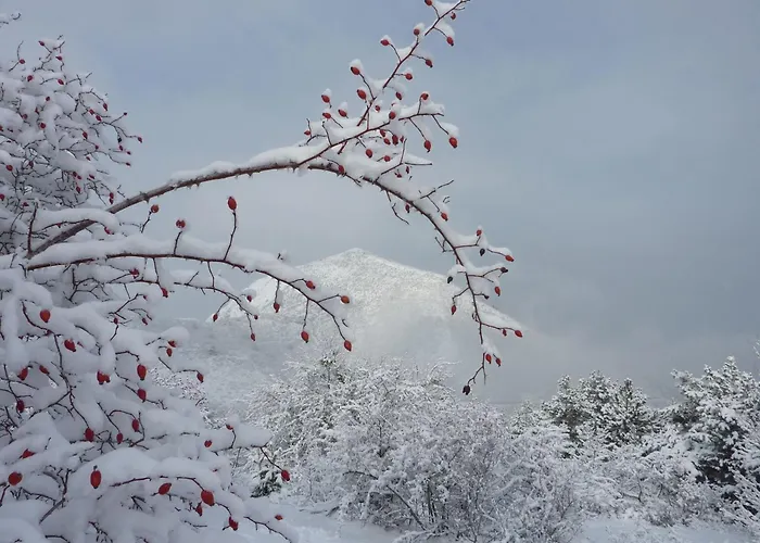 Rum i privatbostad Dans